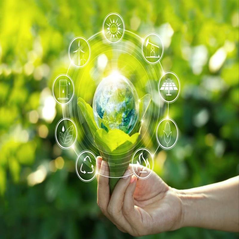 Área de concentração de Sustentabilidade
